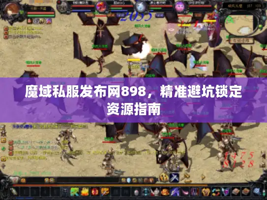 魔域私服发布网898，精准避坑锁定资源指南