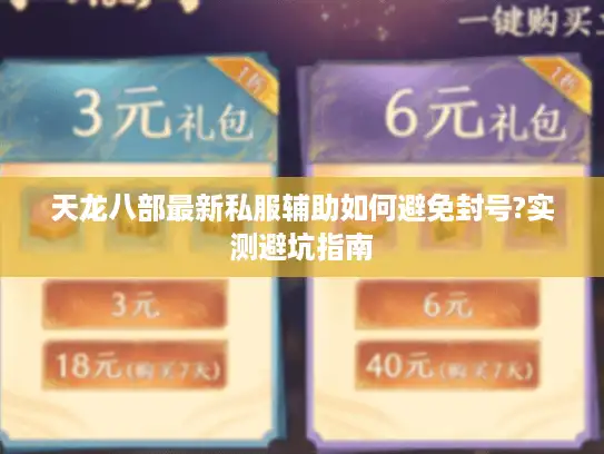 天龙八部最新私服辅助如何避免封号?实测避坑指南