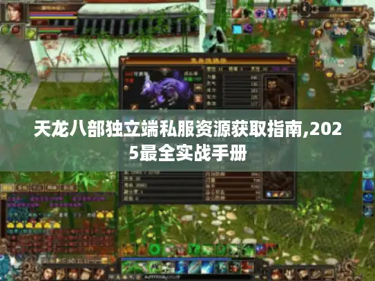 天龙八部独立端私服资源获取指南,2025最全实战手册