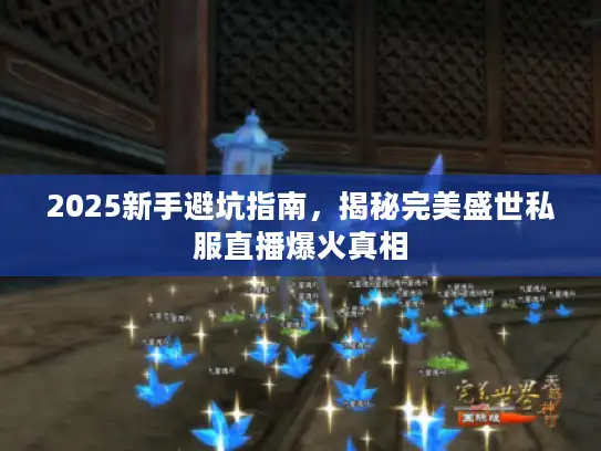2025新手避坑指南，揭秘完美盛世私服直播爆火真相