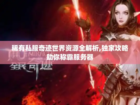 稀有私服奇迹世界资源全解析,独家攻略助你称霸服务器