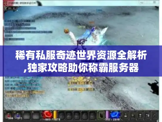 稀有私服奇迹世界资源全解析,独家攻略助你称霸服务器