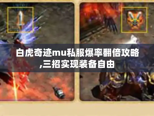白虎奇迹mu私服爆率翻倍攻略,三招实现装备自由