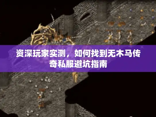 资深玩家实测，如何找到无木马传奇私服避坑指南