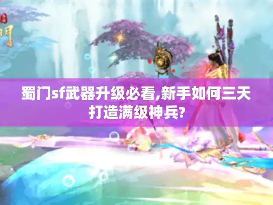 蜀门sf武器升级必看,新手如何三天打造满级神兵?