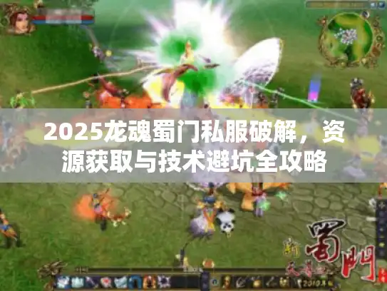2025龙魂蜀门私服破解，资源获取与技术避坑全攻略