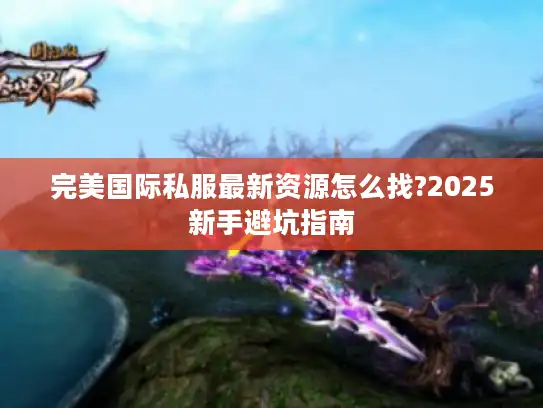 完美国际私服最新资源怎么找?2025新手避坑指南