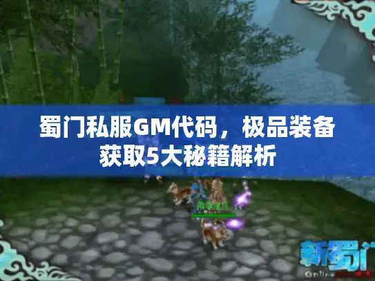 蜀门私服GM代码，极品装备获取5大秘籍解析