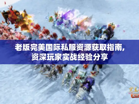 老版完美国际私服资源获取指南,资深玩家实战经验分享