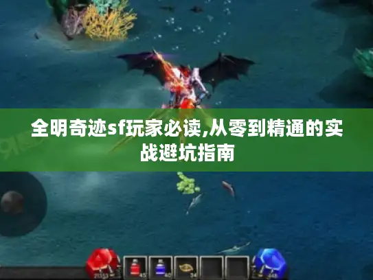 全明奇迹sf玩家必读,从零到精通的实战避坑指南