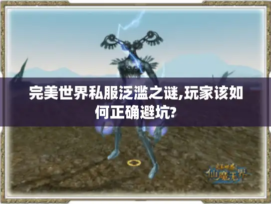 完美世界私服泛滥之谜,玩家该如何正确避坑? 完美世界私服泛滥之谜,玩家该如何正确避坑?