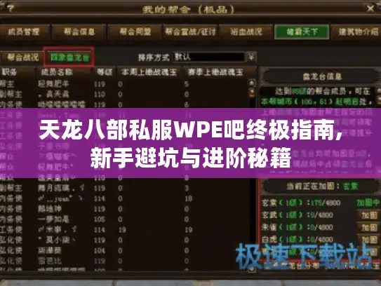 天龙八部私服WPE吧终极指南,新手避坑与进阶秘籍