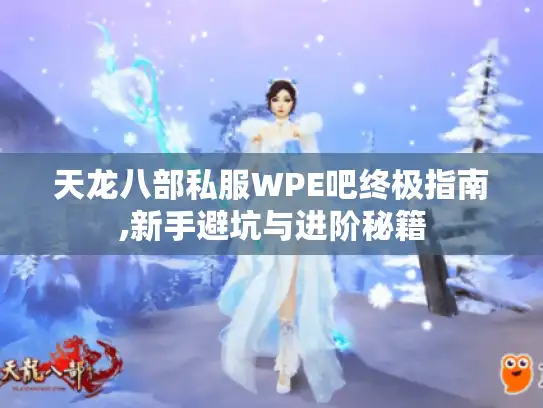 天龙八部私服WPE吧终极指南,新手避坑与进阶秘籍