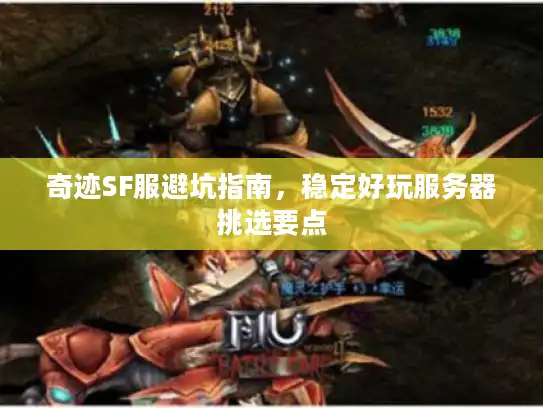 奇迹SF服避坑指南，稳定好玩服务器挑选要点