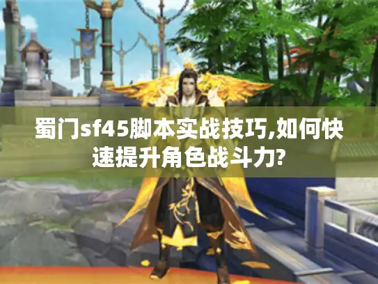 蜀门sf45脚本实战技巧,如何快速提升角色战斗力?