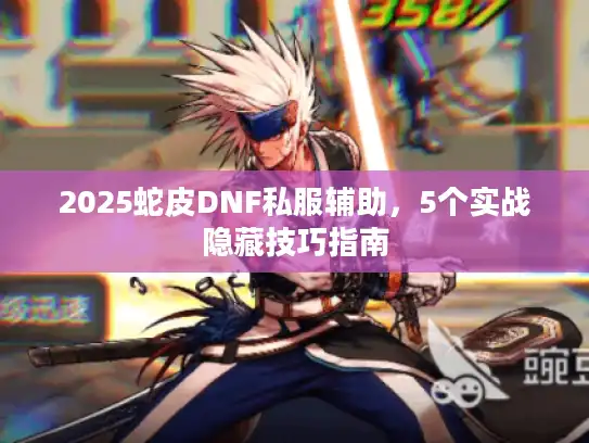 2025蛇皮DNF私服辅助，5个实战隐藏技巧指南