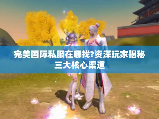 完美国际私服在哪找?资深玩家揭秘三大核心渠道