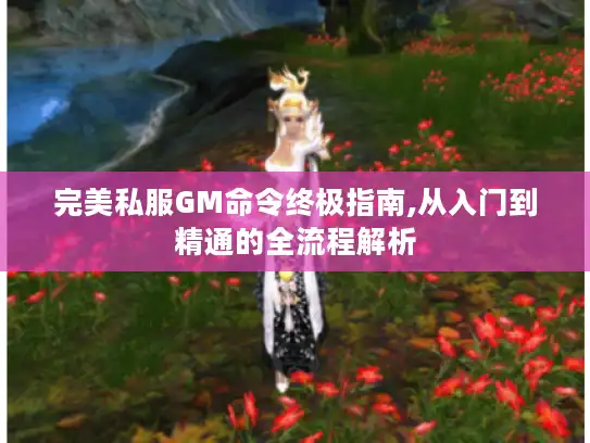 完美私服GM命令终极指南,从入门到精通的全流程解析