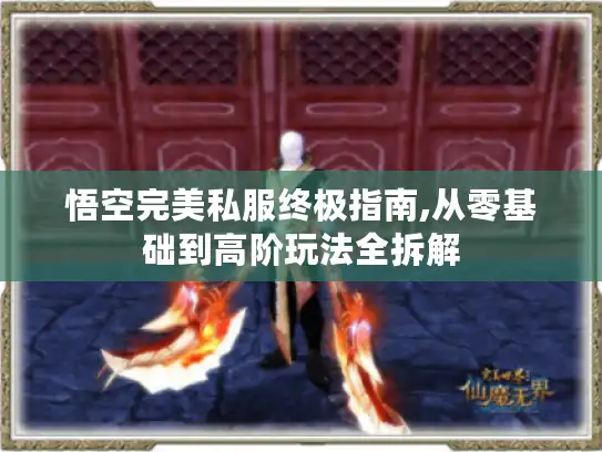 悟空完美私服终极指南,从零基础到高阶玩法全拆解