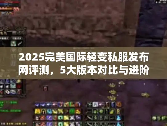 2025完美国际轻变私服发布网评测,5大版本对比与进阶技巧 2025完美国际轻变私服发布网评测,5大版本对比与进阶技巧