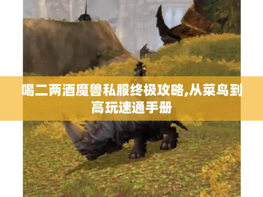 喝二两酒魔兽私服终极攻略,从菜鸟到高玩速通手册