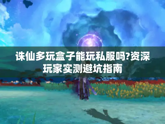 诛仙多玩盒子能玩私服吗?资深玩家实测避坑指南