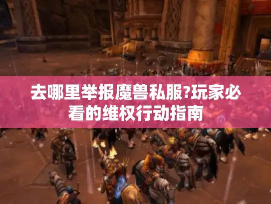 去哪里举报魔兽私服?玩家必看的维权行动指南