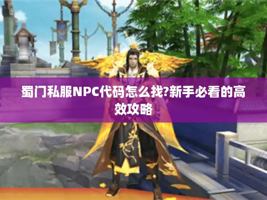 蜀门私服NPC代码怎么找?新手必看的高效攻略
