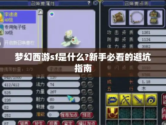 梦幻西游sf是什么?新手必看的避坑指南