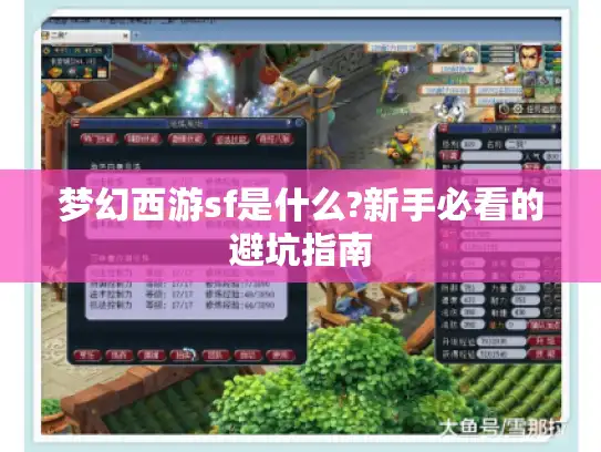 梦幻西游sf是什么?新手必看的避坑指南