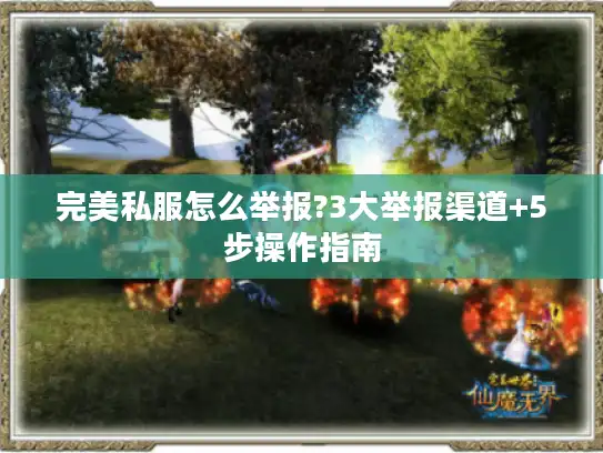 完美私服怎么举报?3大举报渠道+5步操作指南