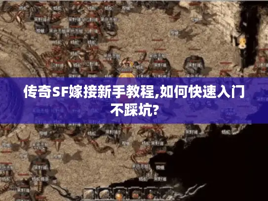 传奇SF嫁接新手教程,如何快速入门不踩坑?