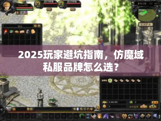2025玩家避坑指南，仿魔域私服品牌怎么选？