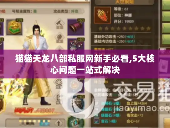 猫猫天龙八部私服网新手必看,5大核心问题一站式解决 猫猫天龙八部私服网新手必看,5大核心问题一站式解决