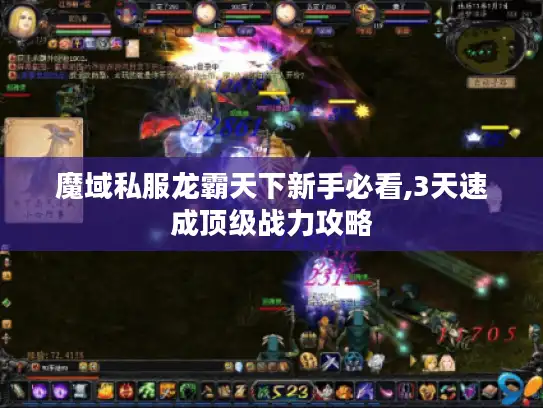 魔域私服龙霸天下新手必看,3天速成顶级战力攻略 魔域私服龙霸天下新手必看,3天速成顶级战力攻略
