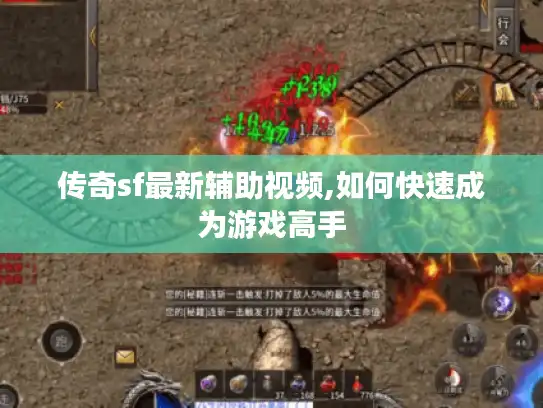 传奇sf最新辅助视频,如何快速成为游戏高手