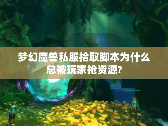 梦幻魔兽私服拾取脚本为什么总被玩家抢资源?