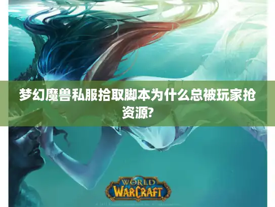 梦幻魔兽私服拾取脚本为什么总被玩家抢资源?