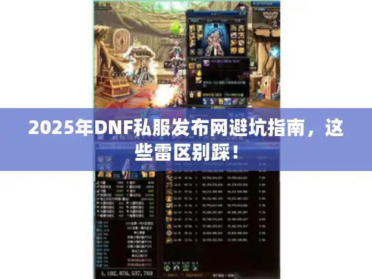2025年DNF私服发布网避坑指南，这些雷区别踩！