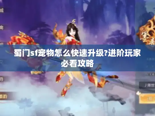 蜀门sf宠物怎么快速升级?进阶玩家必看攻略