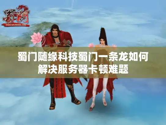 蜀门随缘科技蜀门一条龙如何解决服务器卡顿难题