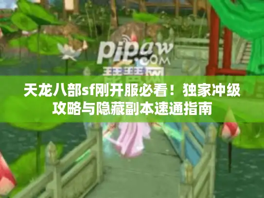 天龙八部sf刚开服必看！独家冲级攻略与隐藏副本速通指南