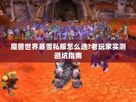魔兽世界暴雪私服怎么选?老玩家实测避坑指南