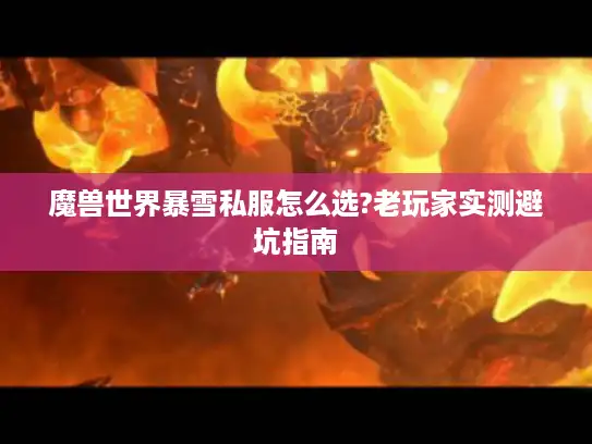 魔兽世界暴雪私服怎么选?老玩家实测避坑指南