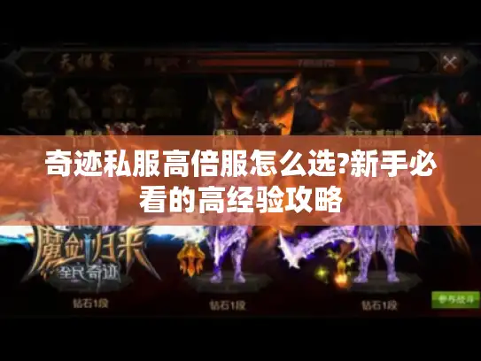 奇迹私服高倍服怎么选?新手必看的高经验攻略