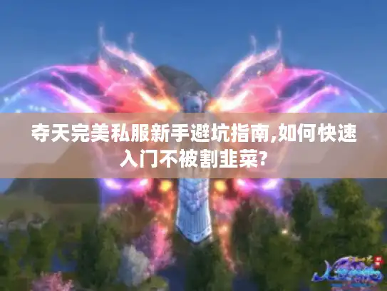夺天完美私服新手避坑指南,如何快速入门不被割韭菜?