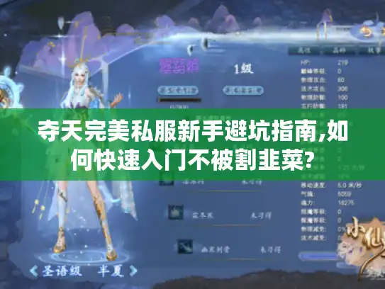 夺天完美私服新手避坑指南,如何快速入门不被割韭菜?