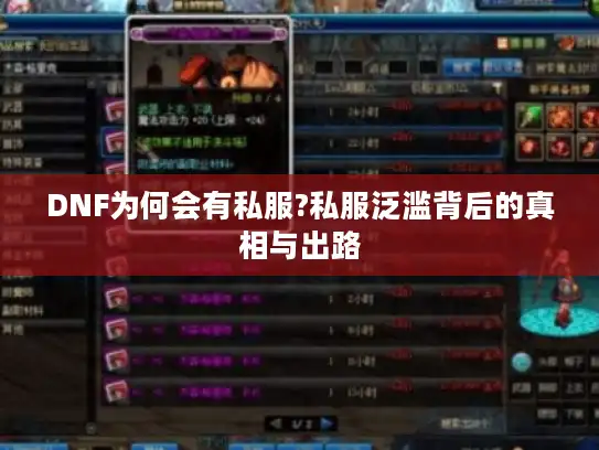 DNF为何会有私服?私服泛滥背后的真相与出路