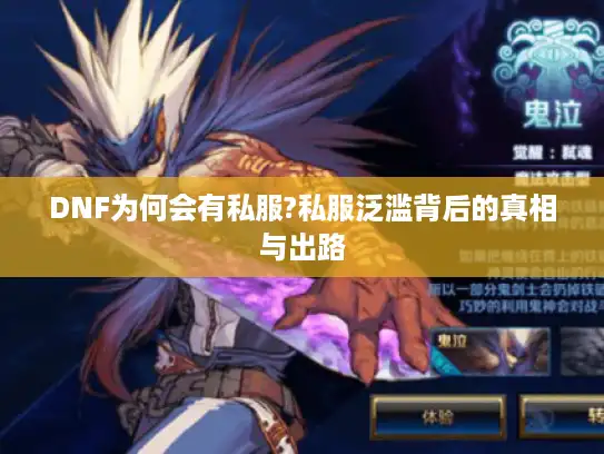 DNF为何会有私服?私服泛滥背后的真相与出路
