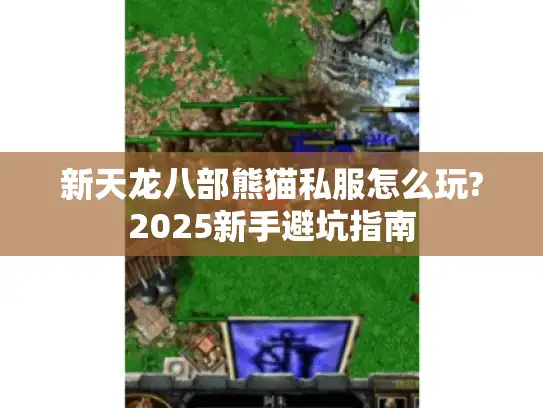 新天龙八部熊猫私服怎么玩?2025新手避坑指南